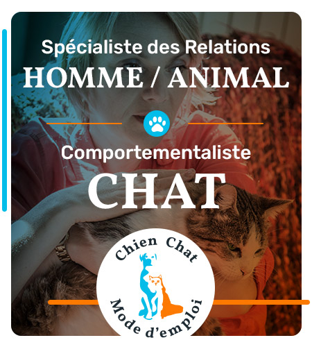 Éducateur Canin diplomé