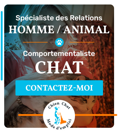 Contactez-moi